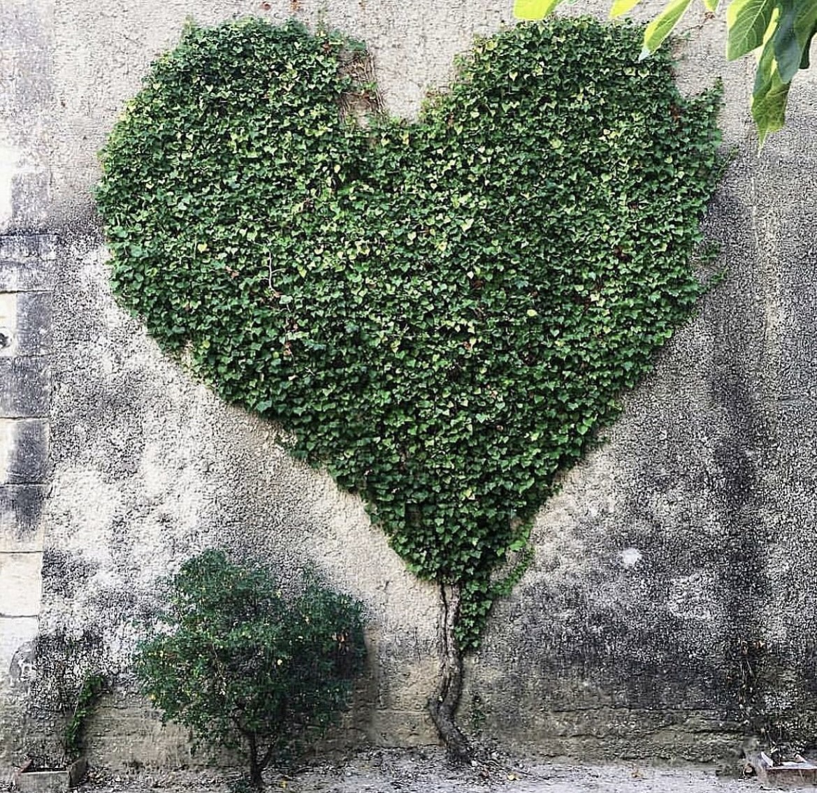 coeur-mur-alpilles-paysagiste-les-jardins-de-malik