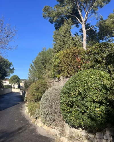 taille-massifs-entretien-jardin-alpilles-jardinier-paysagiste