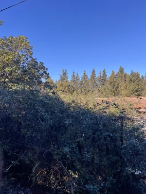 débroussaillage-entretien-jardin-alpilles-jardinier-paysagiste